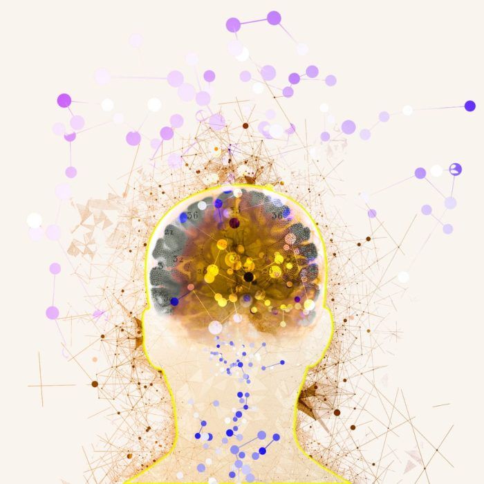 Neurobiología el Trauma. Psicóloga en Barcelona